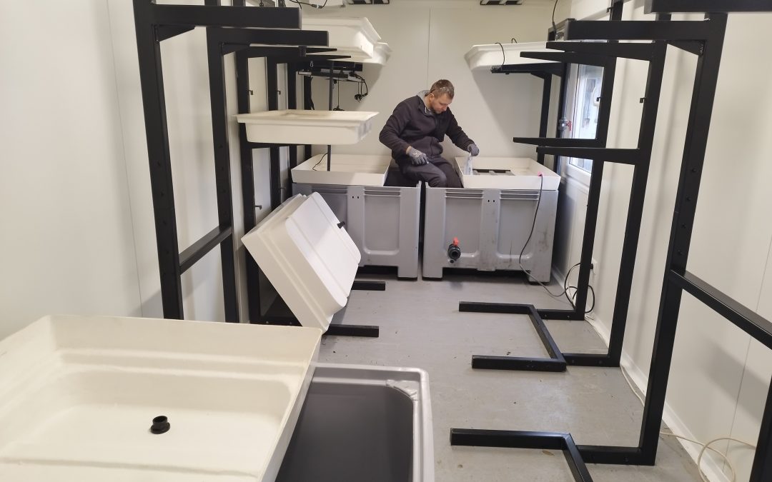 The URBAN FOOD Aquaponic Build 🐟