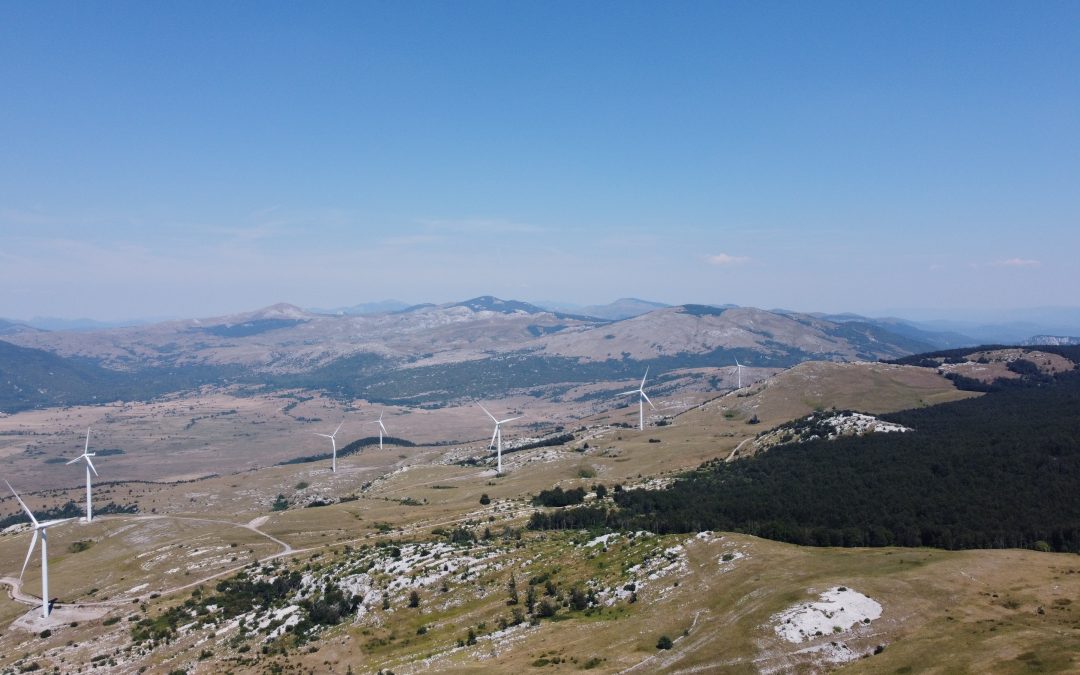 Collision Risk Analysis for Wind Farms: A Practical Pre-Construction Guide from Field Data to Final Risk