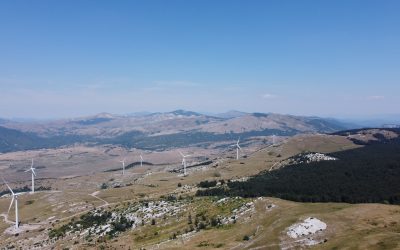 Collision Risk Analysis for Wind Farms: A Practical Pre-Construction Guide from Field Data to Final Risk